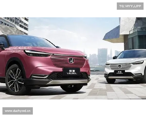 全新缤智-酷创拍档